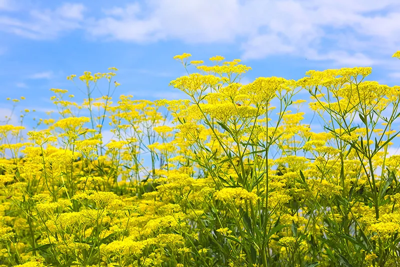「北九州市」これだけはやめて!